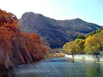 新澳天天开奖资料大全旅游团，黄鳝 肛门